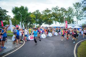 BIB: 
                            <button type="button" onclick="openModal(26550164)" class="btn btn-primary btn-sm float-right btn-popup" data-toggle="modal" data-target=".modal-high-quality">
                        <i class="fas fa-shopping-cart"></i> Add to Cart
                    </button>
                                            <button type="button" onclick="isThisMe(26550164, true)" class="btn btn-success btn-sm float-right btn-popup btn-isme hidden" data-toggle="tooltip" data-placement="bottom" title="นี่คือรูปของคุณใช่ไหม คลิกที่นี่เพื่อเอาเข้าอัลบั้ม">
                        <i class="fas fa-plus"></i> Add to album
                    </button>
                    <button type="button" onclick="isThisMe(26550164, false)" class="btn btn-warning btn-sm float-right btn-popup btn-isnotme hidden">
                        <i class="fas fa-ban"></i> Remove from album
                    </button>